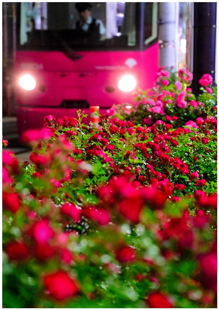 入賞_TheRed