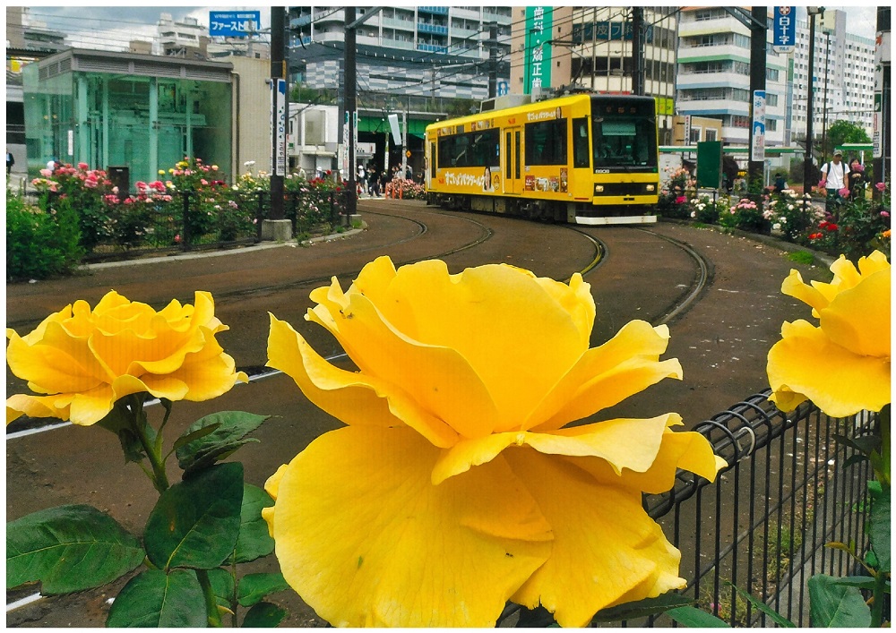 盛和会賞