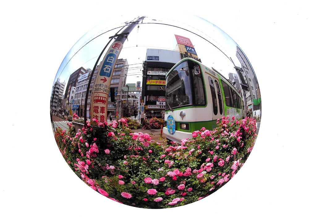 優秀賞_花盛り