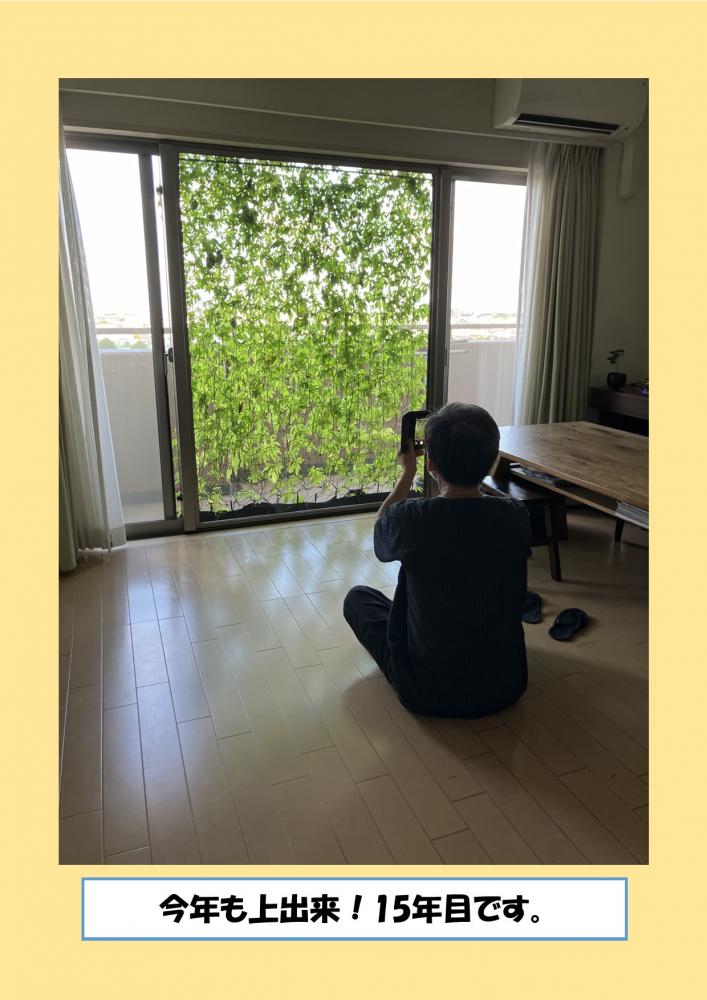 今年も上出来！15年目です。