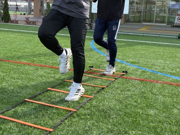 HP用タニラダー_イメージ画像