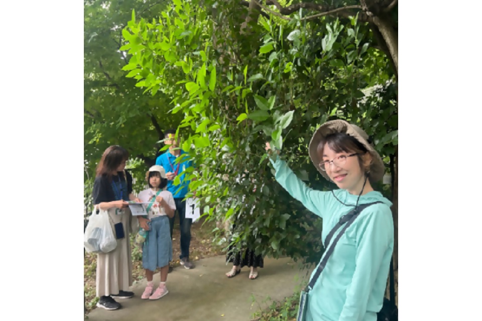 としまっ子フェス樹木探偵