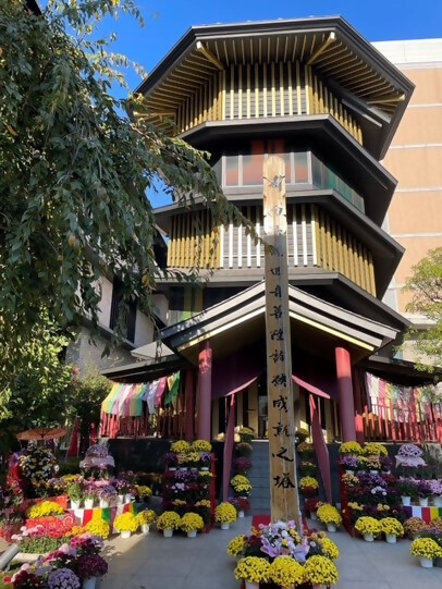 菊まつり(大正大学)