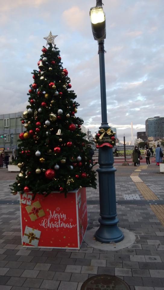 クリスマスツリー