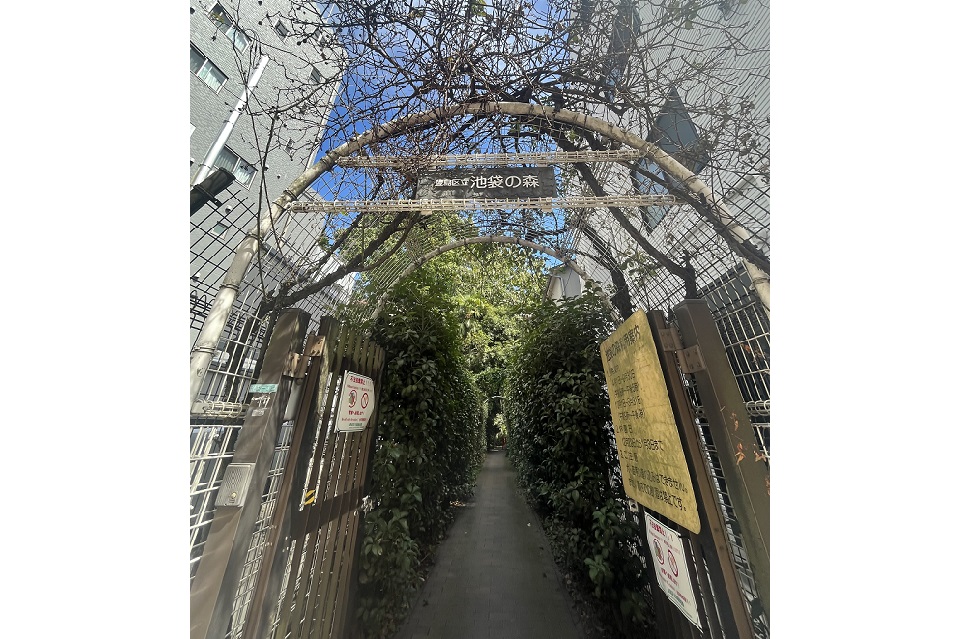 豊島の森入り口