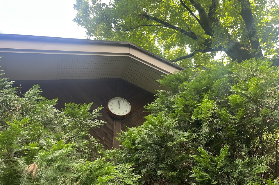 豊島の森ログハウス２