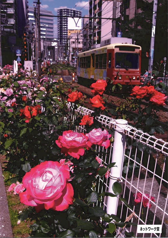 nettowa-ku1