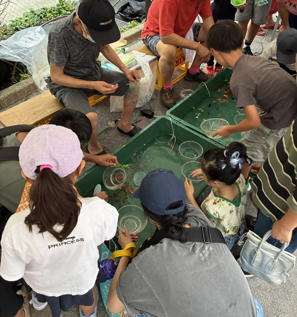 金魚すくいの様子