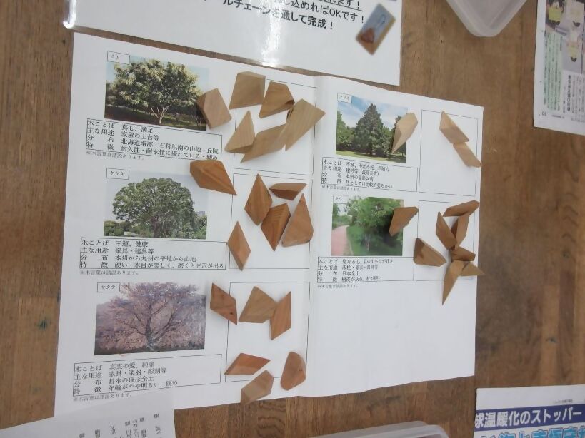 木端の種類