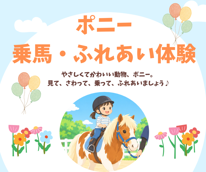 タイトル