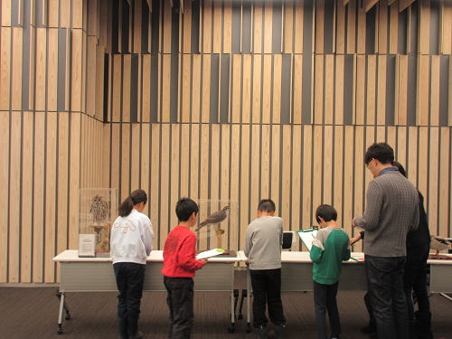 剥製を見ながらスケッチしている様子