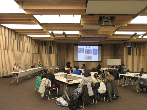 冬芽について説明している様子