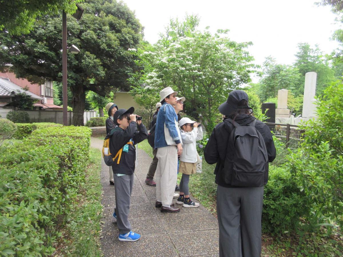 雑司ヶ谷霊園観察の様子