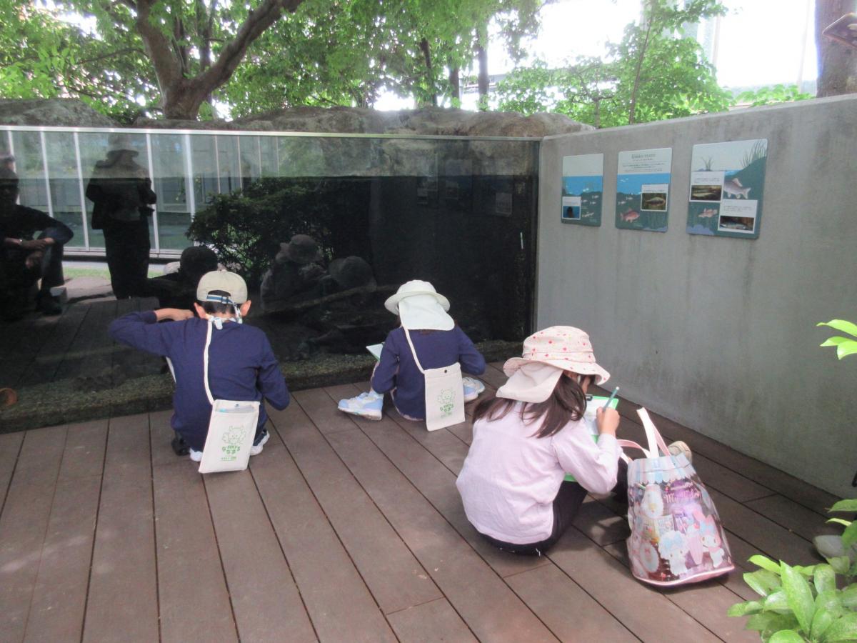 豊島の森観察の様子