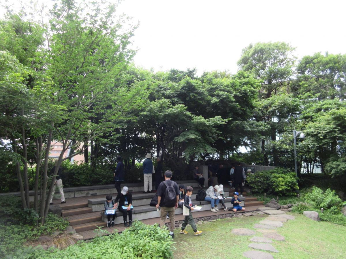 豊島の森観察の様子２