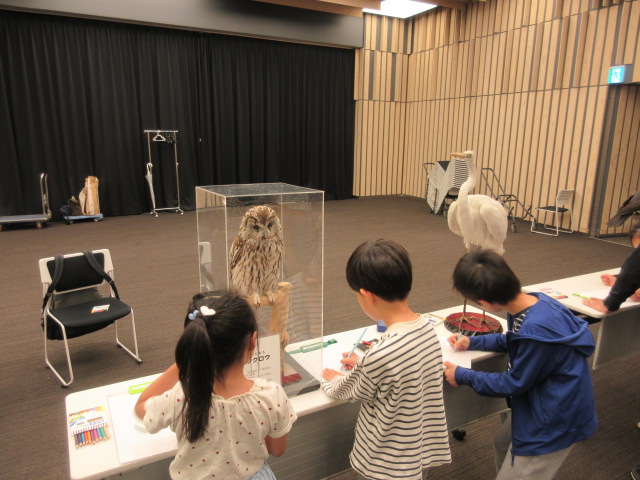 野鳥を見ながらスケッチをしている様子